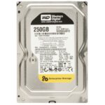 Western Digital WD RE4 WD2503ABYX 250Gb 7200Rpm SATA-3.0Gbs 64Mb Cache 3.5-Inch Internal Hard Drive