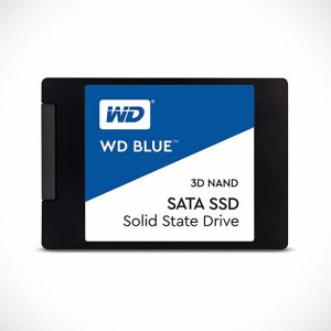 WDS100T2B0A_01